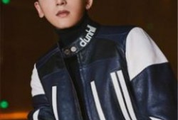 明星八卦大爆料最新合集,明星八卦大爆料最新合集深度解析